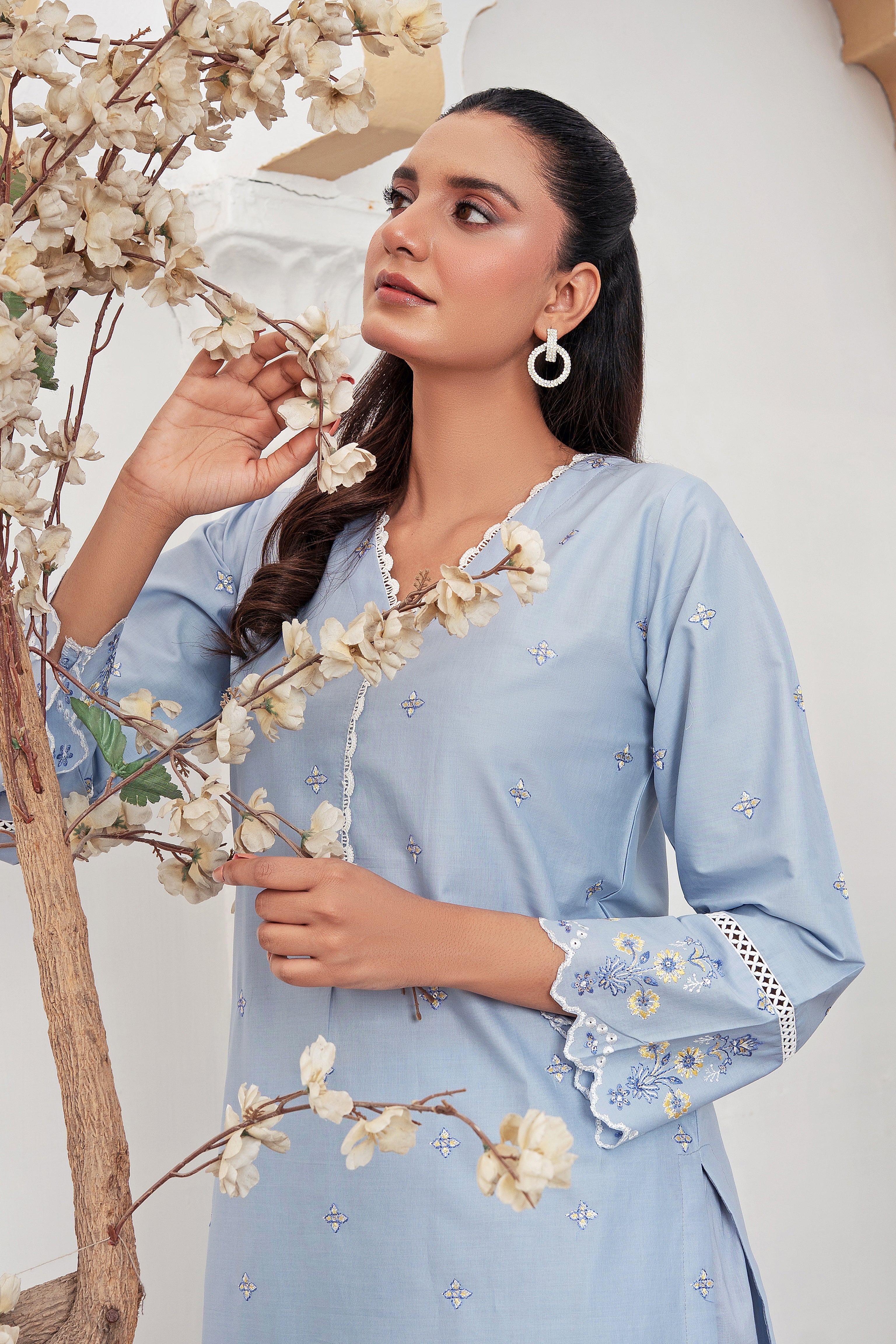 Stitched Embroidered - Lawn Suit (2PC)