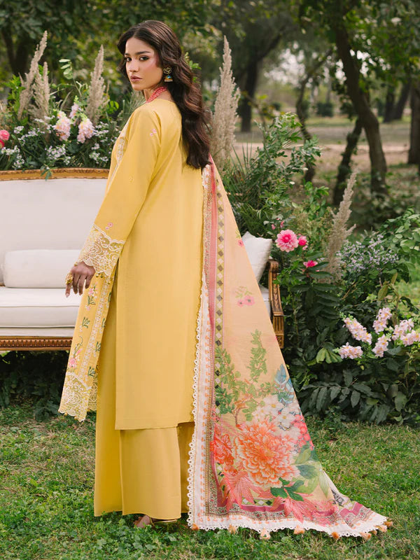 3 PC lawn